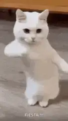 Image posted by the member