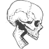 Image posted by the member