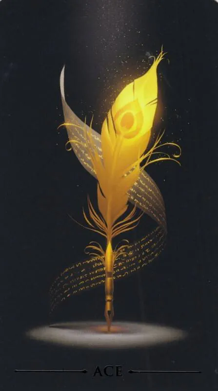 Image posted by the member