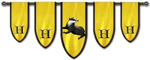 Image posted by the member