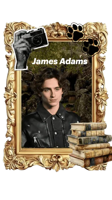 Image posted by the member