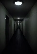 Image posted by the member