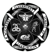 Image posted by the member