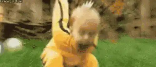 Image posted by the member