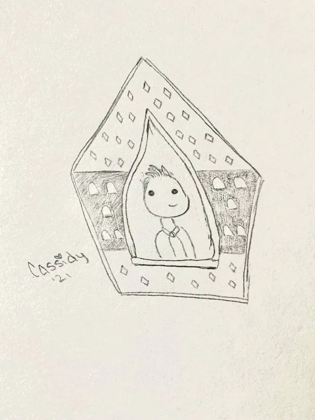 Image posted by the member