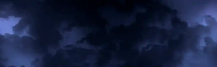 Image posted by the member