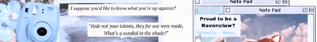 Image posted by the member