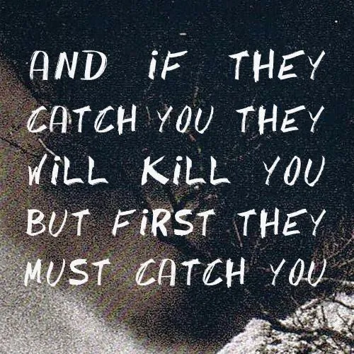 Image posted by the member