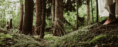 Image posted by the member
