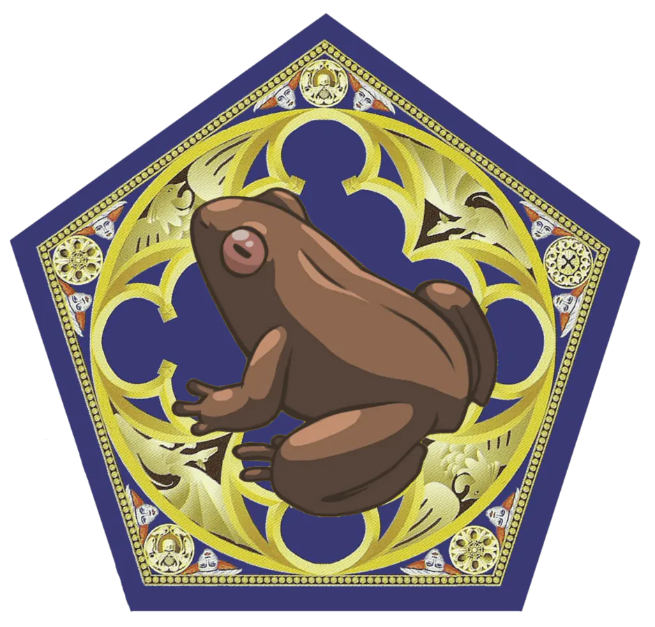 Image posted by the member