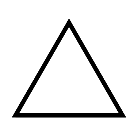 Image posted by the member