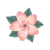 Image posted by the member