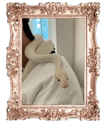 Image posted by the member