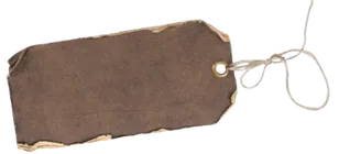 Image posted by the member