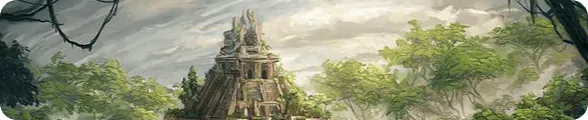 Image posted by the member
