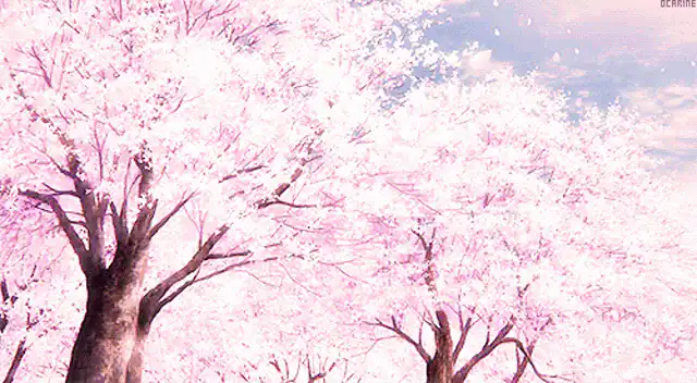 Image posted by the member