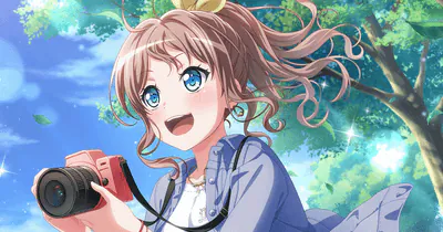 Image posted by the member