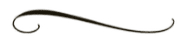 Image posted by the member