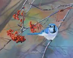 Image posted by the member