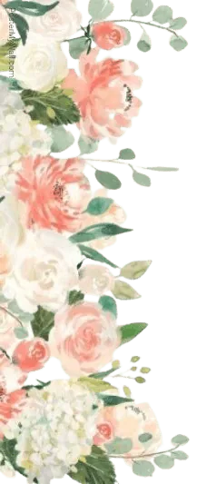 Image posted by the member