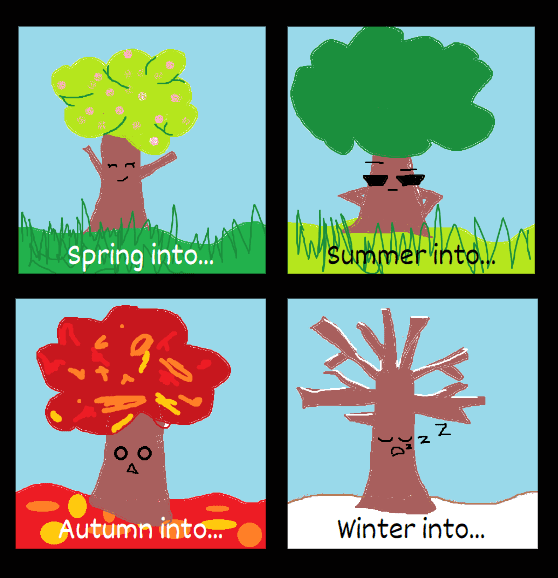 Image posted by the member