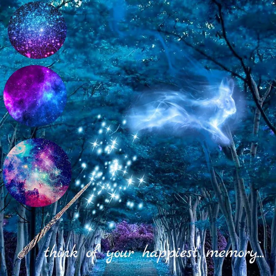 Image posted by the member