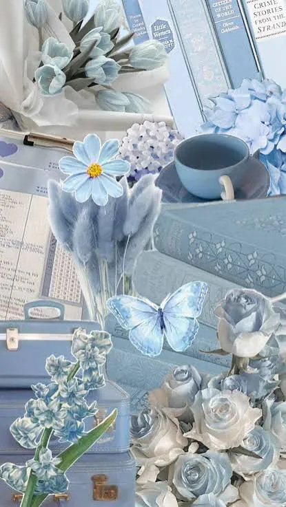 Image posted by the member