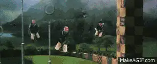 Image posted by the member