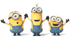 Image posted by the member