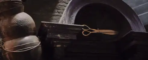 Image posted by the member