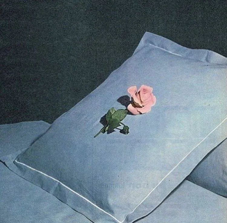 Image posted by the member