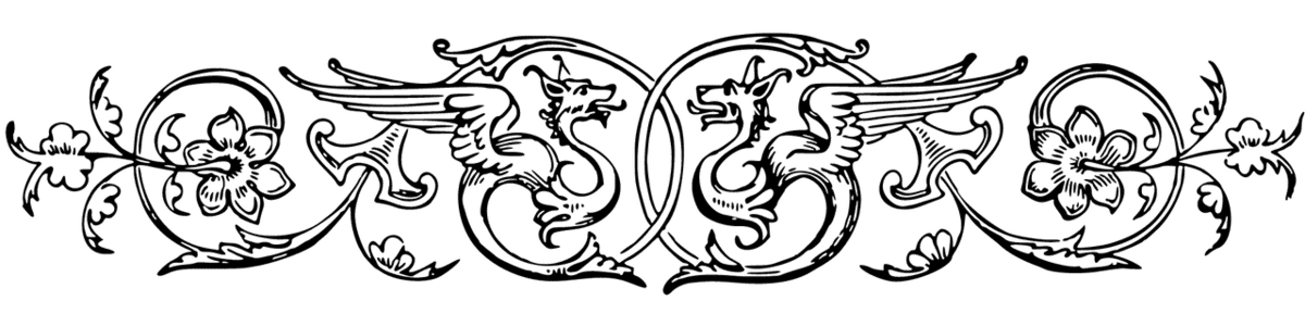 Image posted by the member