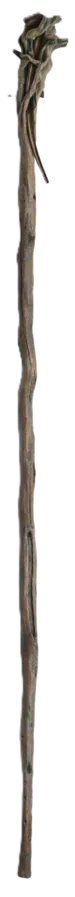 Image posted by the member