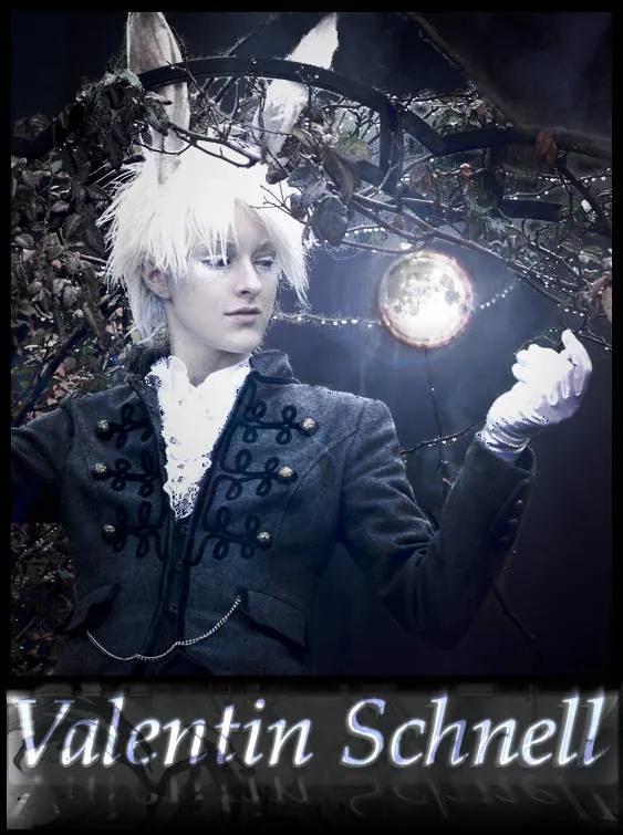 Image posted by the member