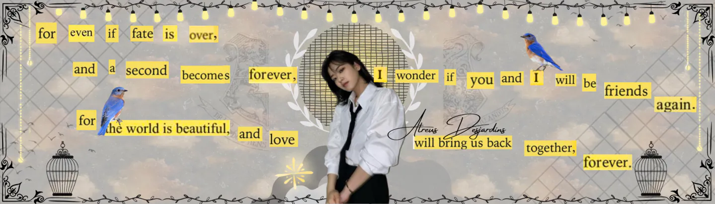 Image posted by the member