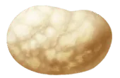Image posted by the member