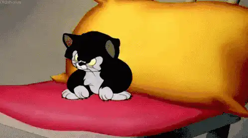 Image posted by the member