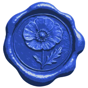 Image posted by the member