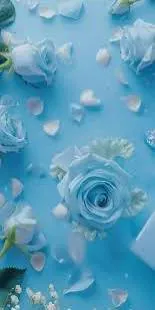 Image posted by the member