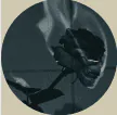 Image posted by the member
