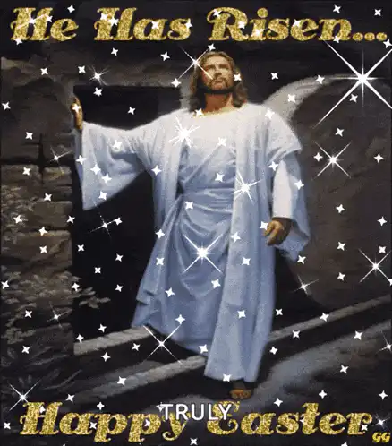 Image posted by the member