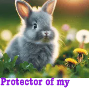 Image posted by the member