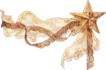 Image posted by the member