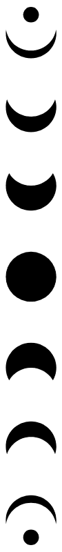 Image posted by the member