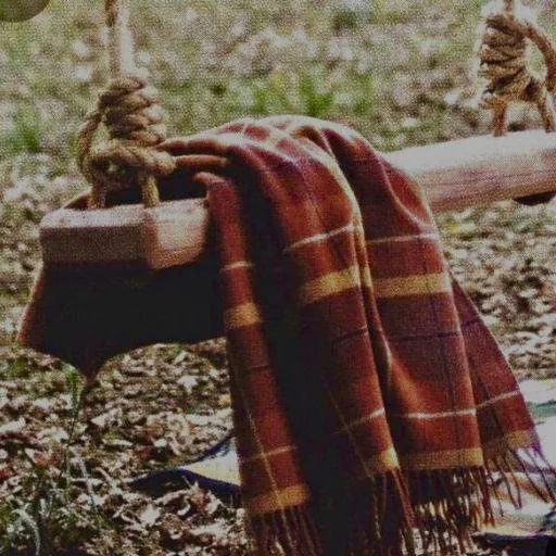 Image posted by the member