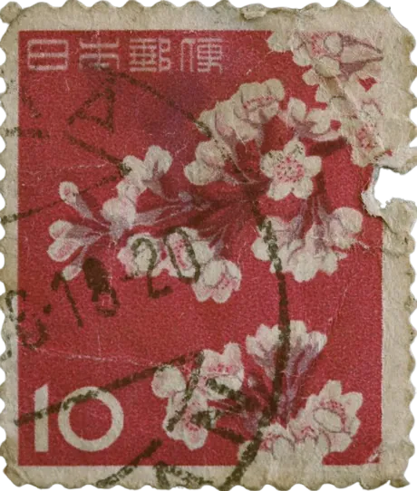 a pink stamp with white flowers