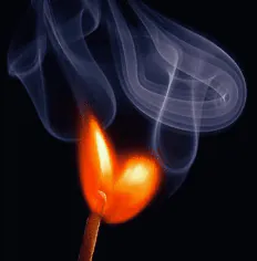 Image posted by the member