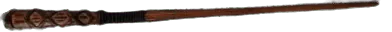 Image posted by the member