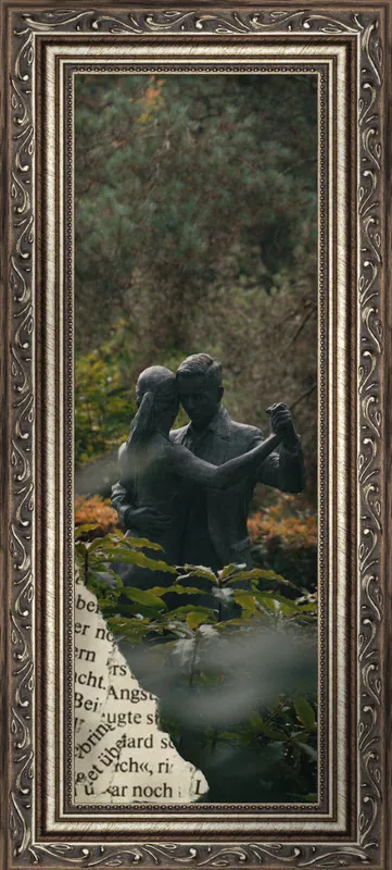 Image posted by the member