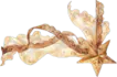 Image posted by the member